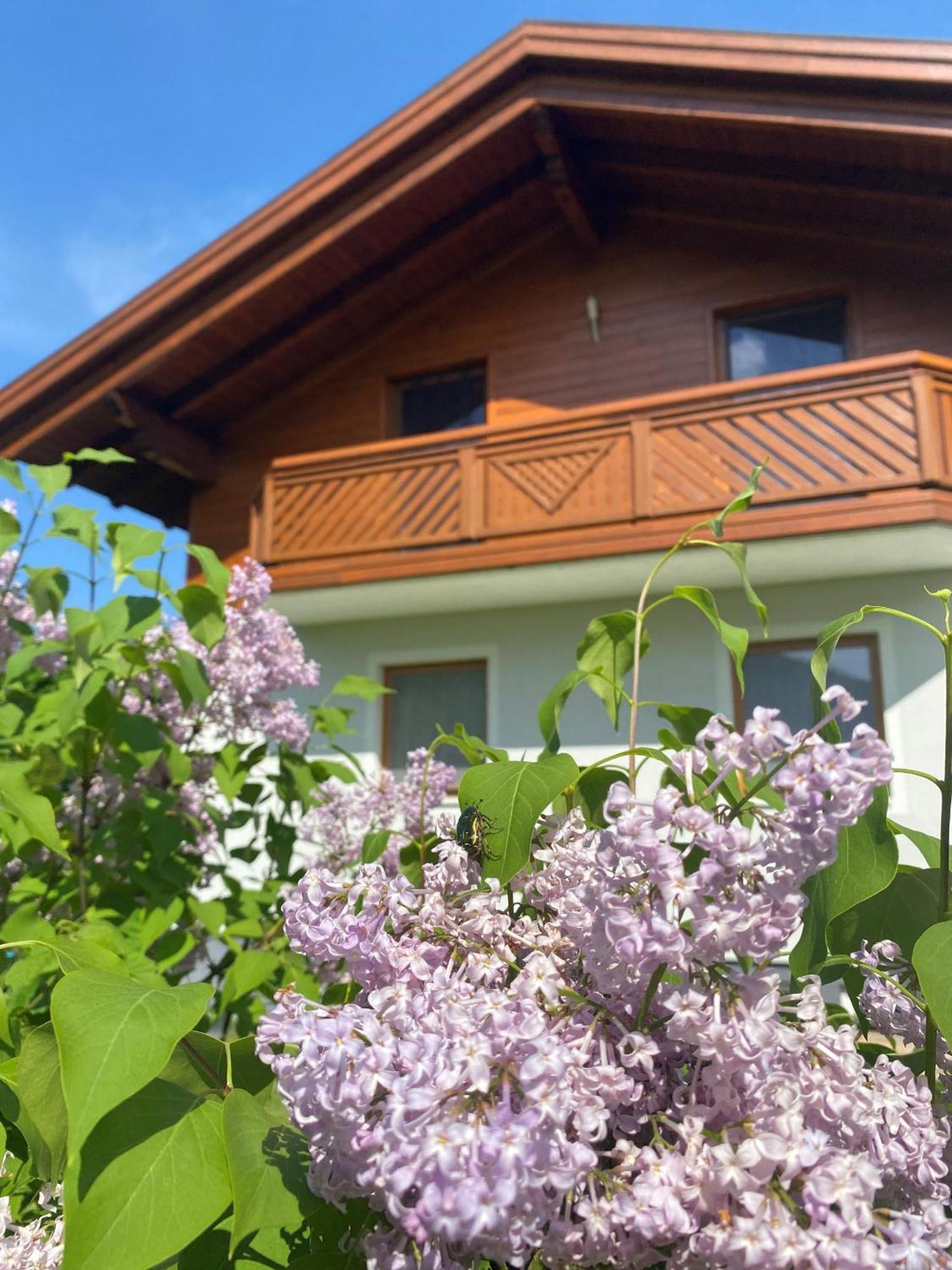 Panoramablick Zell Am